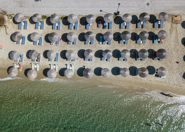 Alkioni By The Sea